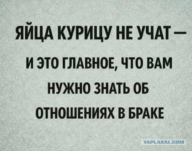 Картинки для деградации 239 (разной степени свежести)