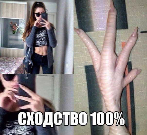 Веселые картинки в пятницу 07.08