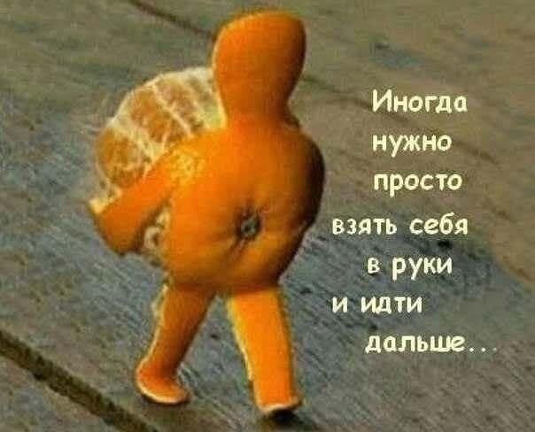 Веселые картинки в понедельник (19.10)