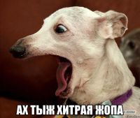 Беременная продает положительные тесты