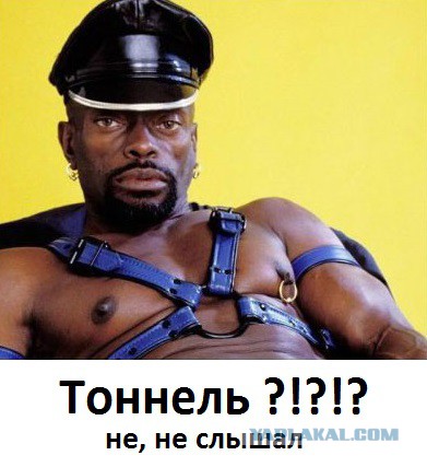 Что же ты несешь-то?!?!...Хотя...В чем-то ты прав.