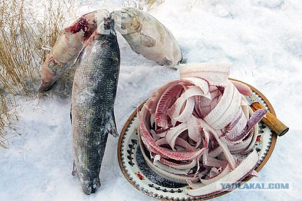 Поселок Черский