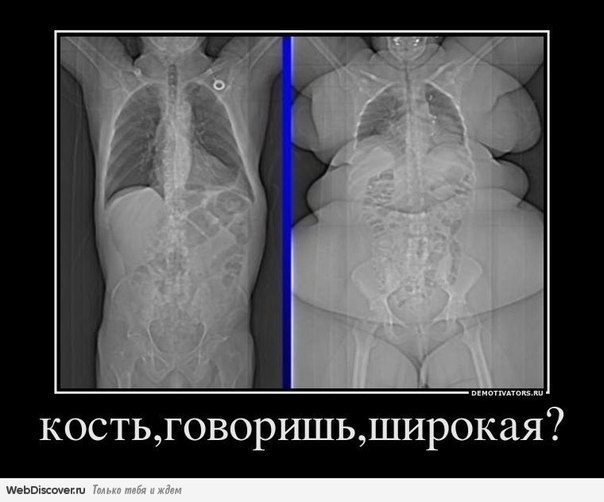 А вы говорите, девушки, худеть
