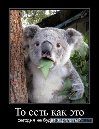 Улыбнуло часть "2"