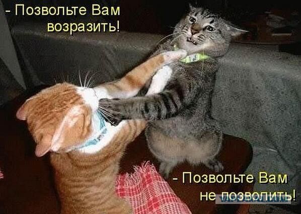 Разборки на дороге