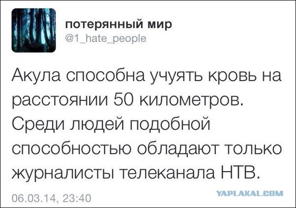 "Комментарии из соцсетей" от 12.10.2014