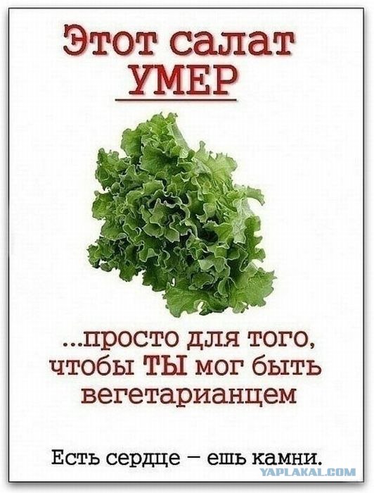 Пламенный привет веганам!