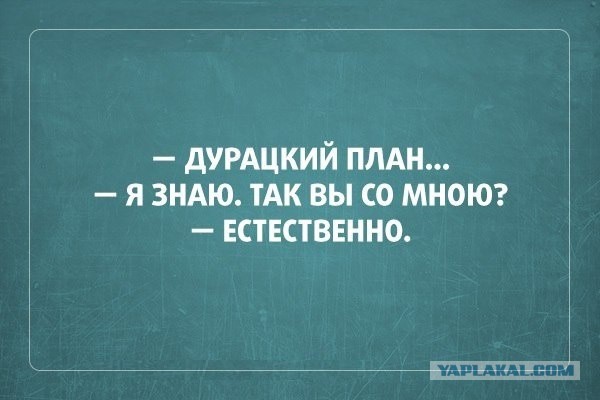 Смешные комментарии из социальных сетей 13.11.14