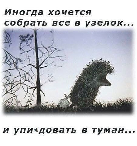 Немного картинок и юмора