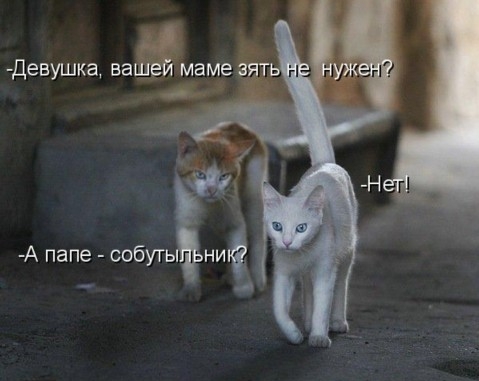 Бьёт - значит Не любит?