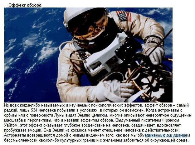 20 фактов обо всем
