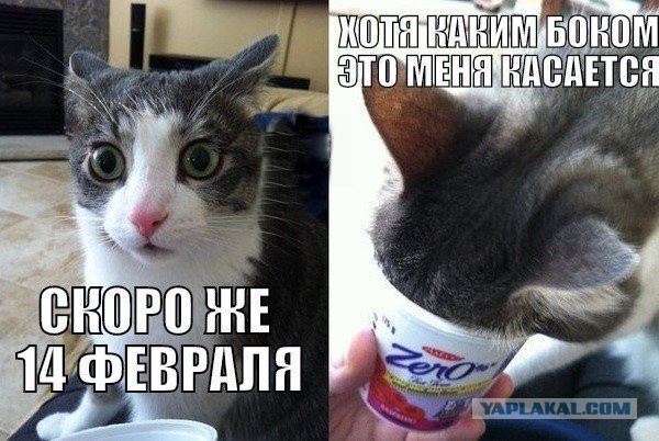 К 14 февраля готова