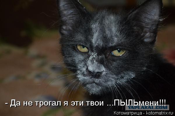 По следам горячих событий