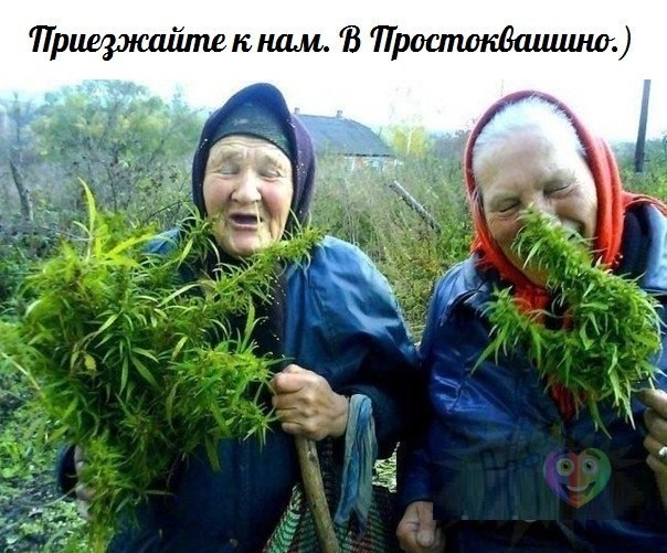 Немного картинок