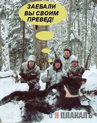Превед медвед!