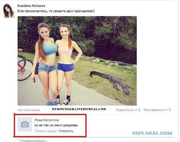 Ужасы и приколы из соцсетей 18+