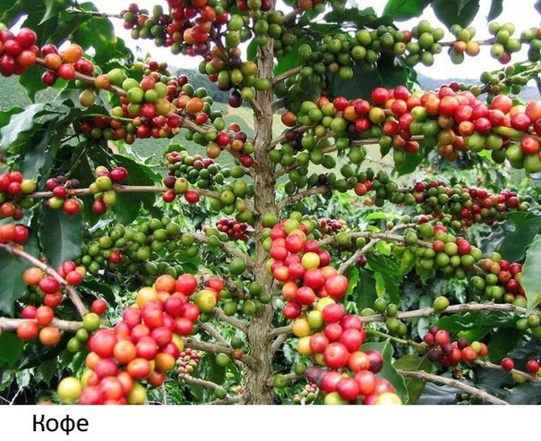 Интересные и веселые картинки