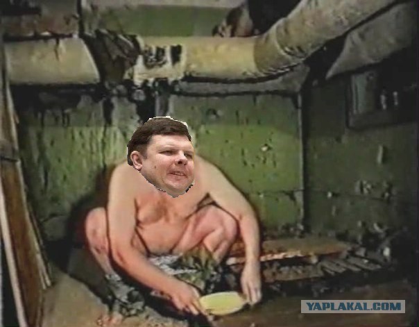 Еще одна инстаграммная реакция Шнура