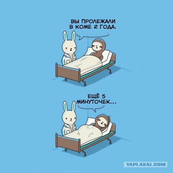 Картинки и приколы из сети