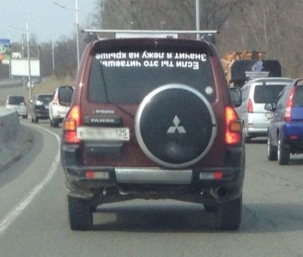Прикольные картинки