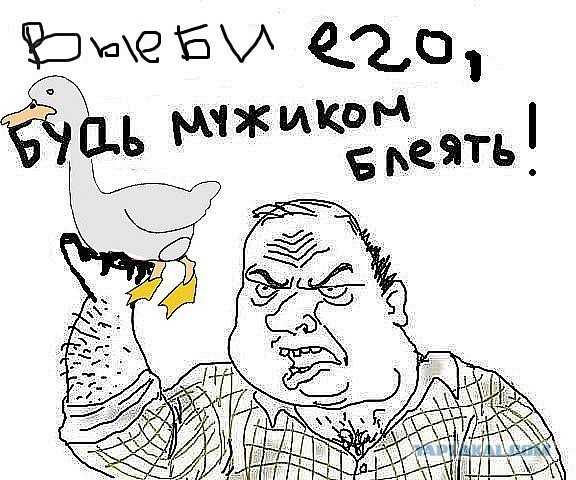 Если секса давно нет…
