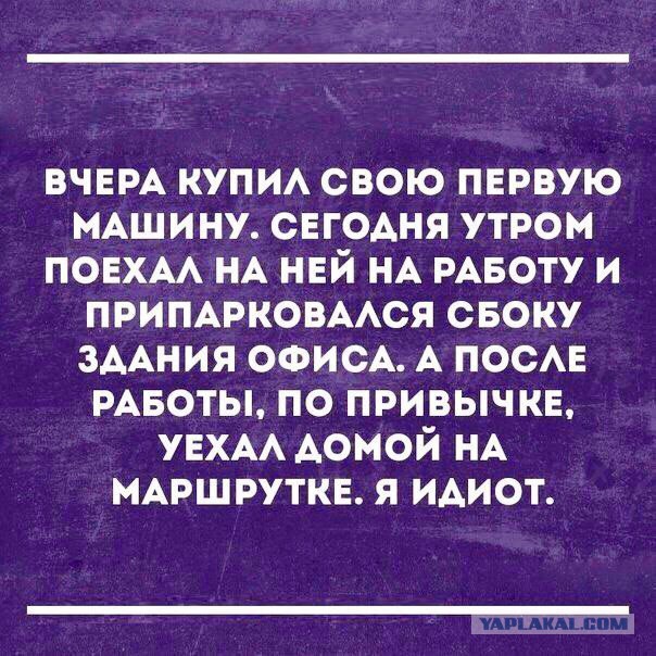 Смешные комментарии из социальных сетей 19.05.2017