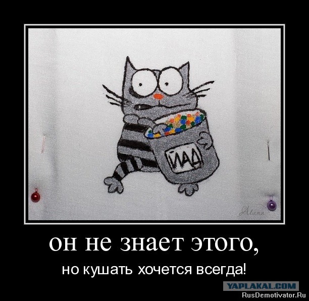 Картинка Хочу Кушать Прикольные