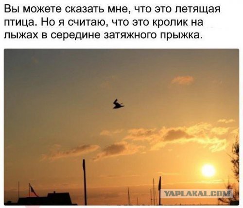Смешные комментарии из социальных сетей 01.09.2017