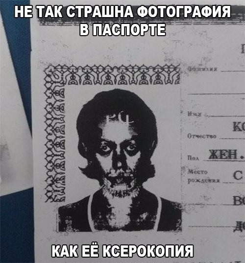 Смешные картинки с подписями