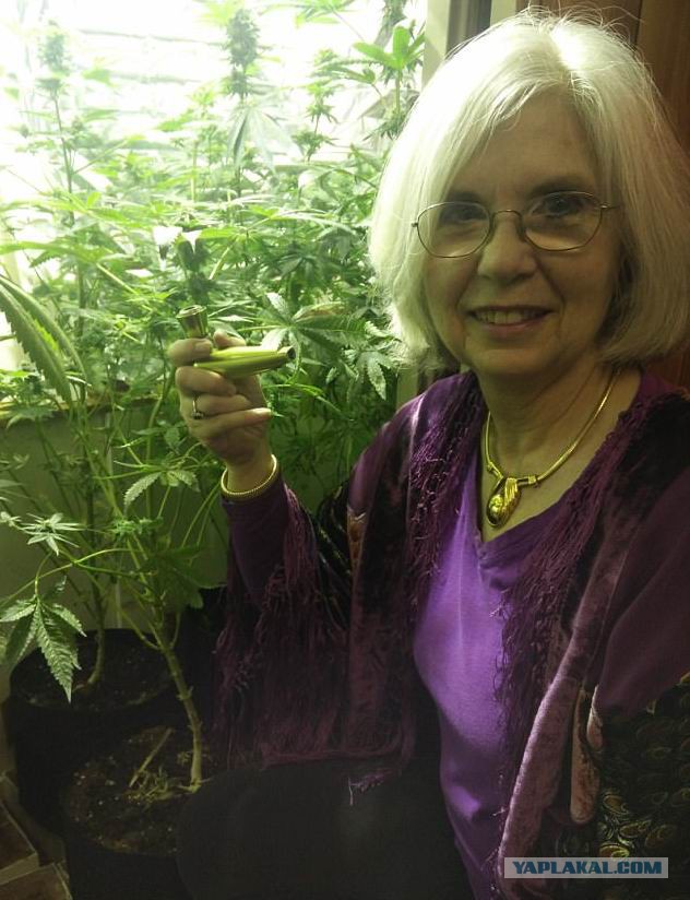 «Конопляная» бабушка: 50 лет на марихуане