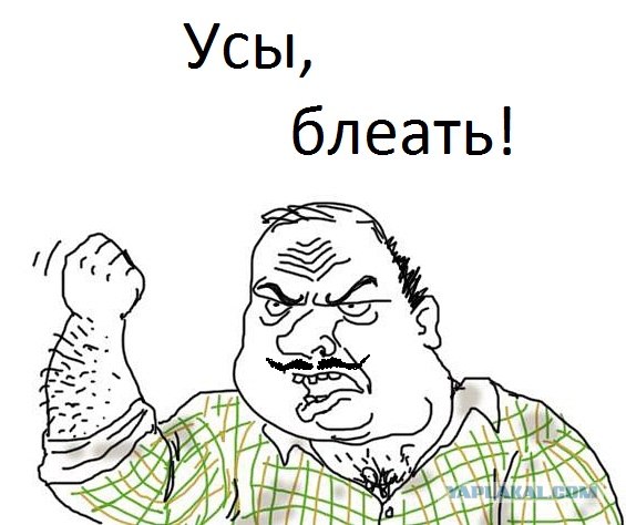 Звездуны и звездульки негодуют