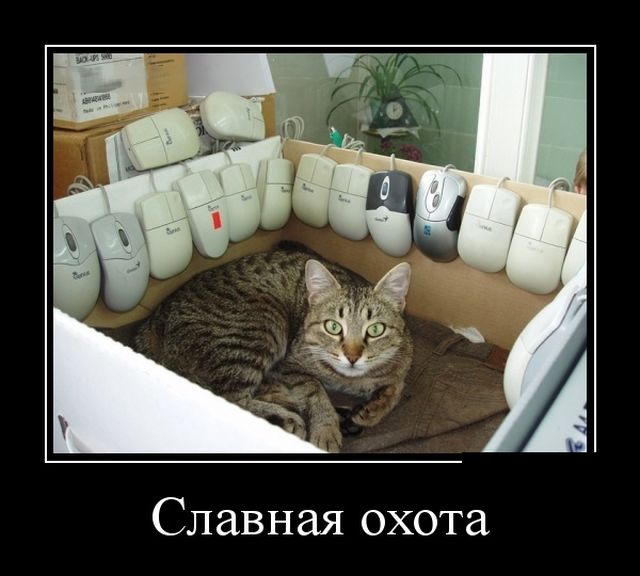 Подборка интересных и веселых картинок