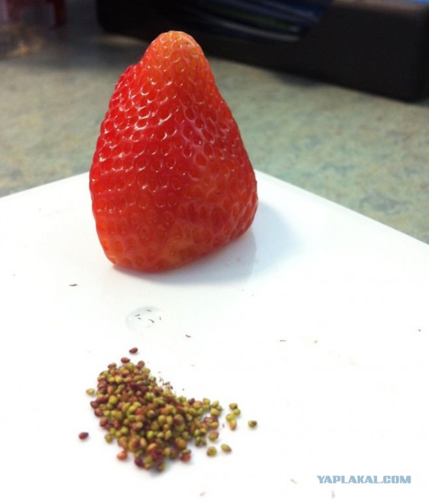 Перфекционистам посвящается