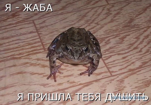 Сколько вам нужно денег для комфортной жизни?