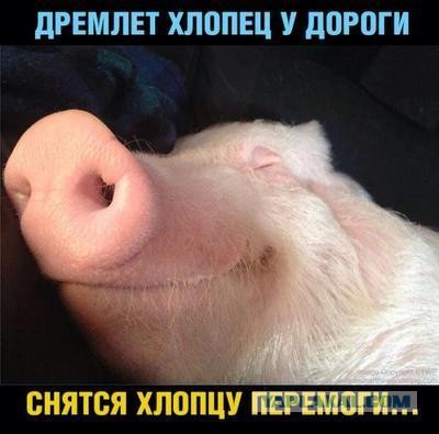 В палате №6 без перемен