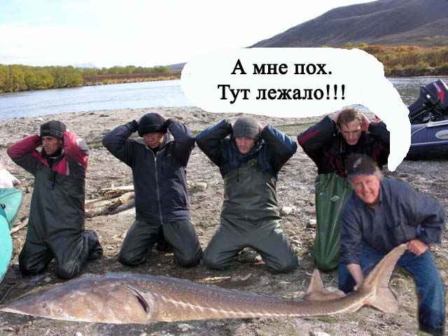 Конкурс на лучшую фотожабу против браконьеров.
