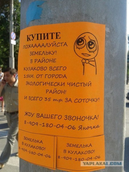 Ну какая прелесть на столбе!