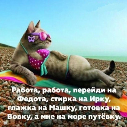 Кучка картинок №8