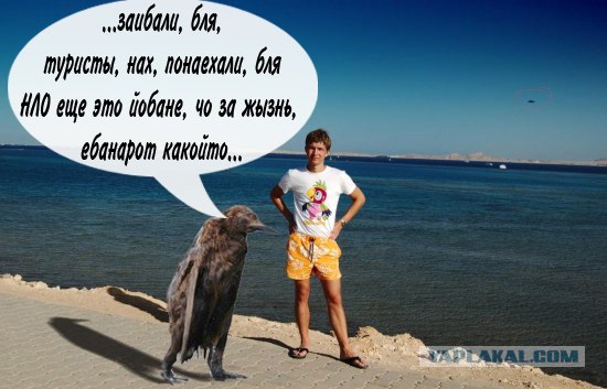 Фотожаба: Они прилетели