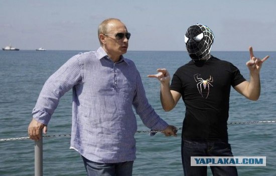 Медведев в образе
