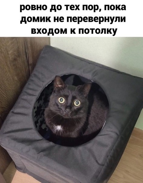 Картинки разнообразные. На злобу дня и на доброту (05.10)