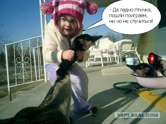 Фотожаба: Молодая добытчица