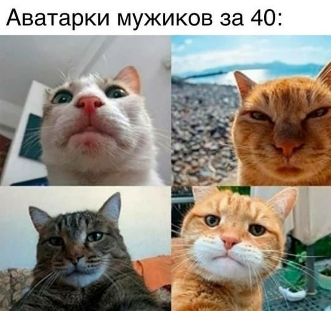 14936151.jpg