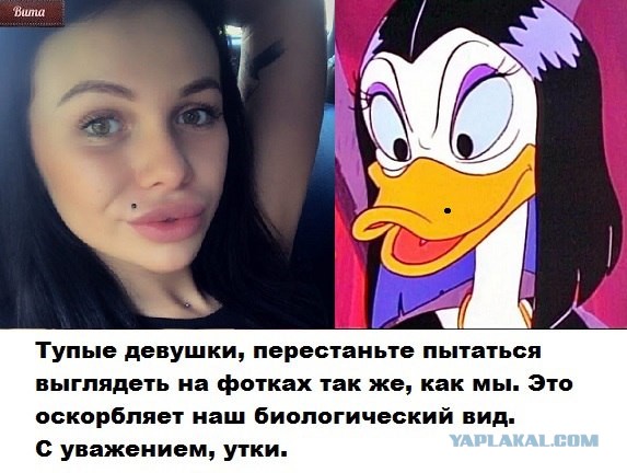 Давайте, господа, делайте вложения