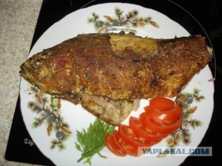 КАРП (Он же карпуша но - рыба)