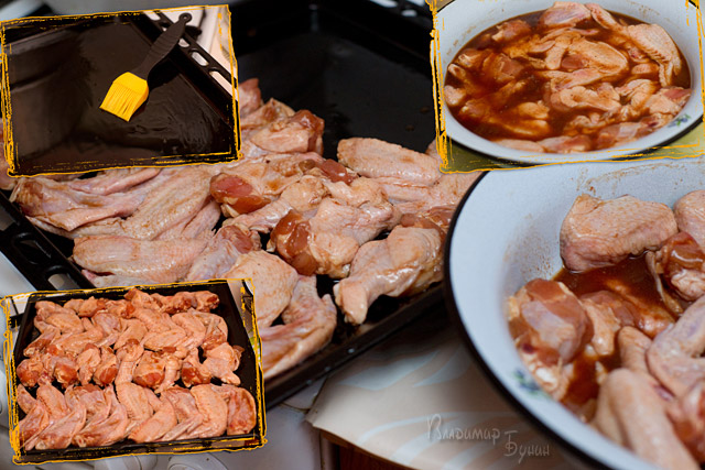 Ноги, хвосты… главное – крылья!, Кура-International–2, куриные крылья