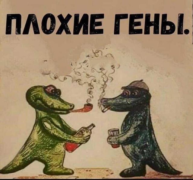 Алкопост 13.08.21
