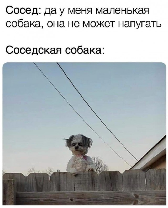 Картинки. 30.09.21