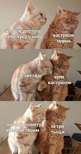 Баянисто-небаянистый юмор 27.01.22