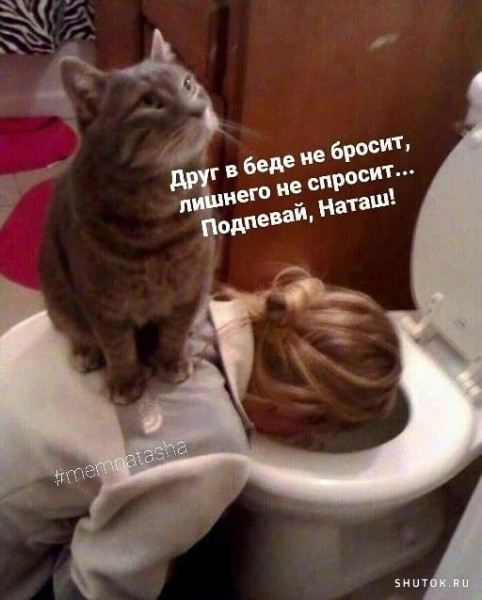 Солянка 16.03